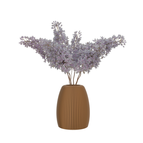 Akti