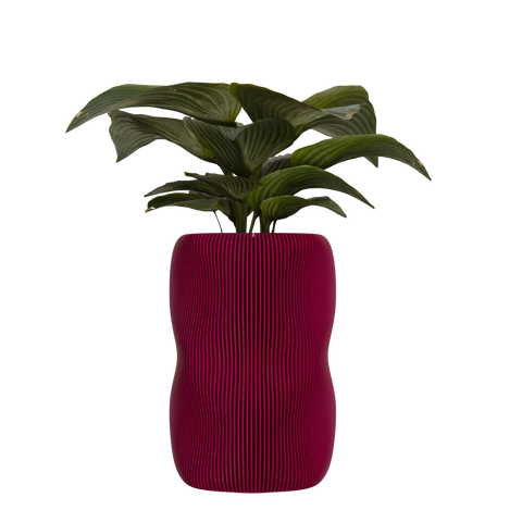 Arcadia Tall