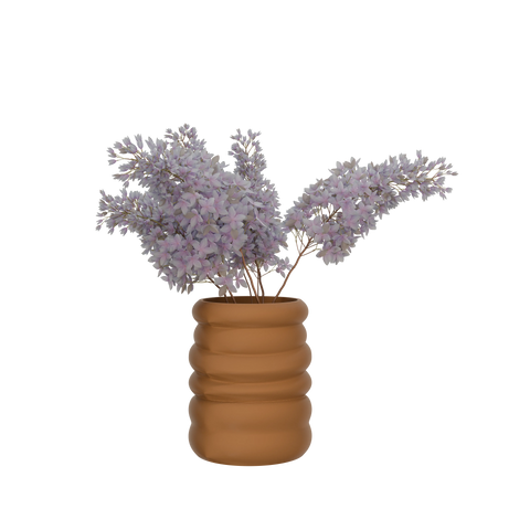 Daphni