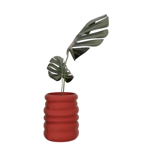 Daphni