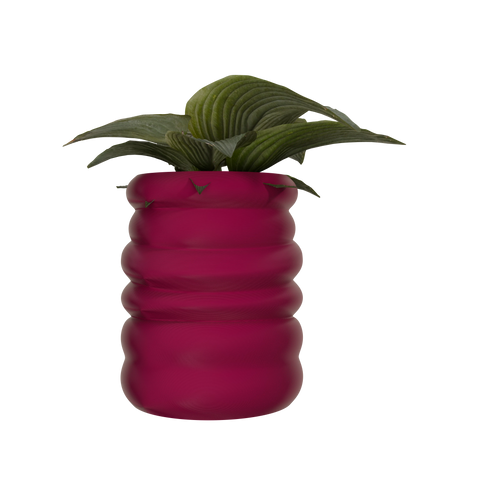 Daphni
