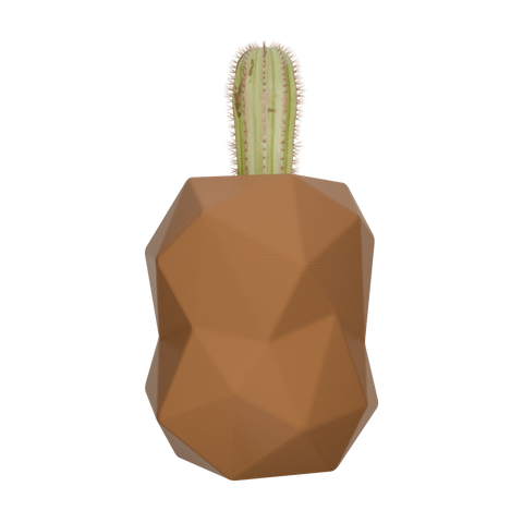 Kelyphos