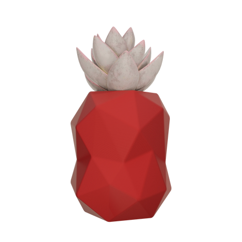 Kelyphos