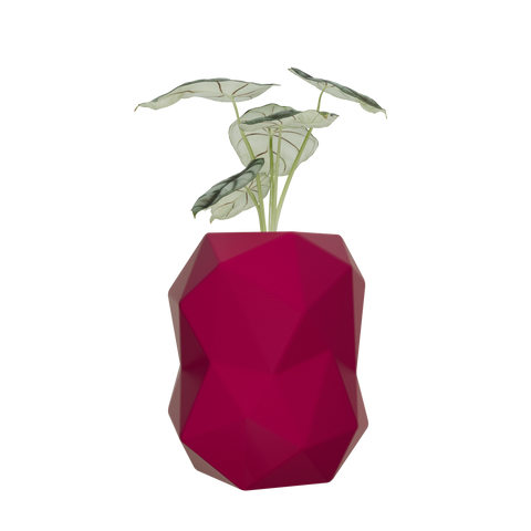 Kelyphos